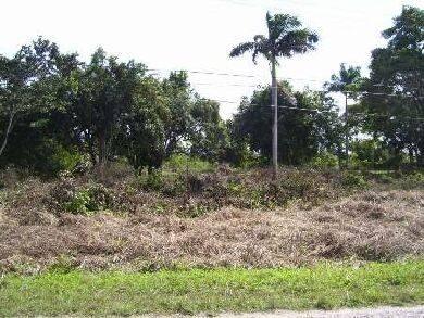 listing image with ID 105660