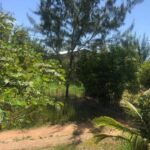 listing image thumbnail with ID 100274