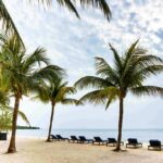 listing image thumbnail with ID 103540