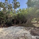 listing image thumbnail with ID 91817
