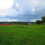 listing image thumbnail with ID 93548