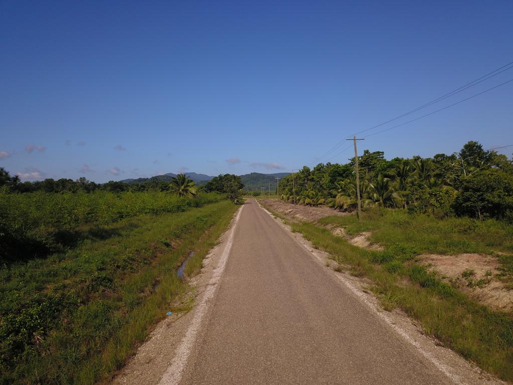 listing image with ID 77565
