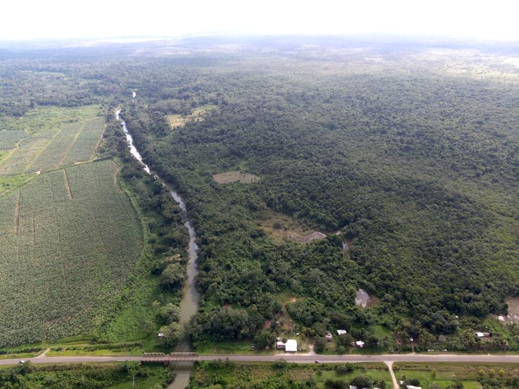 listing image with ID 79057
