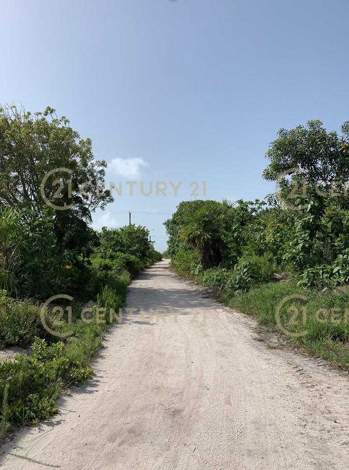listing image with ID 97419