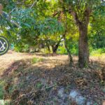 listing image thumbnail with ID 108017