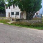 listing image thumbnail with ID 103516