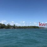 listing image thumbnail with ID 80295