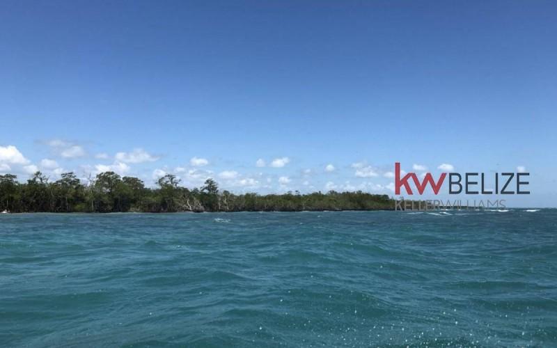 listing image with ID 80295