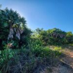 listing image thumbnail with ID 105411