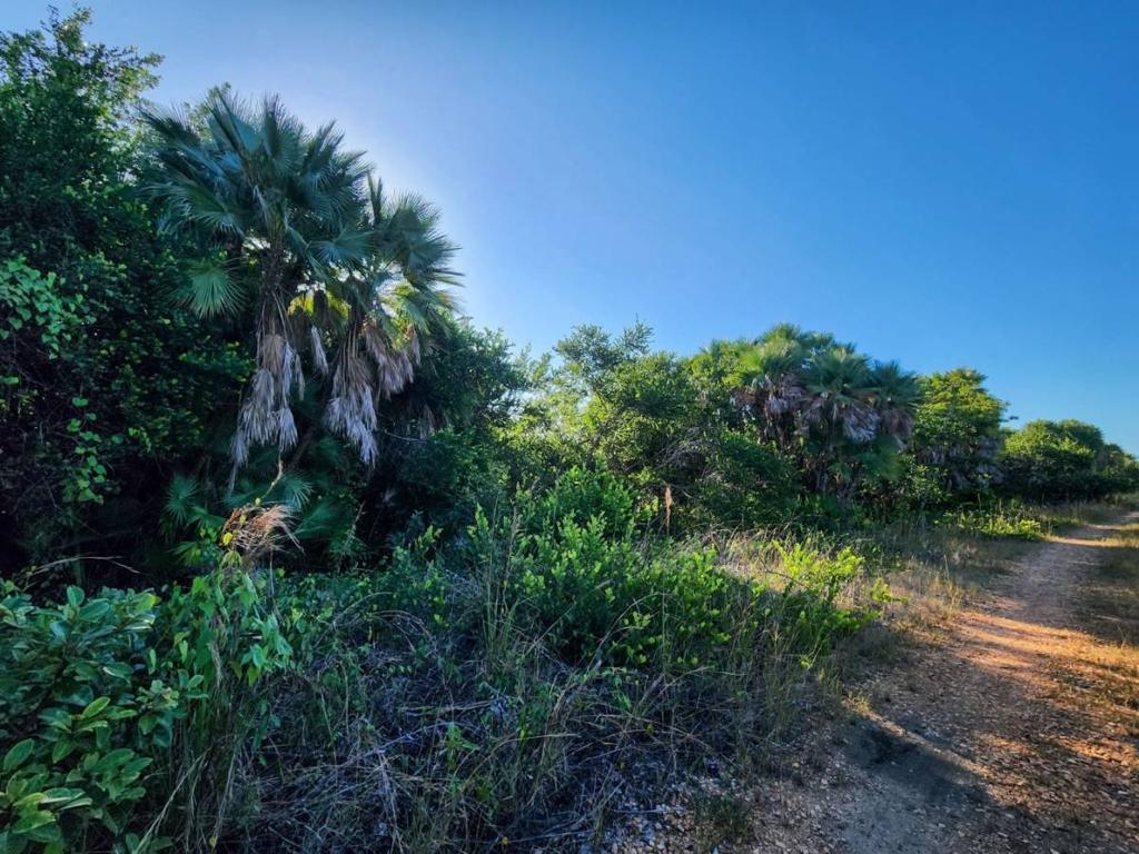 listing image with ID 105411