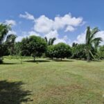listing image thumbnail with ID 106036