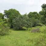 listing image thumbnail with ID 108225