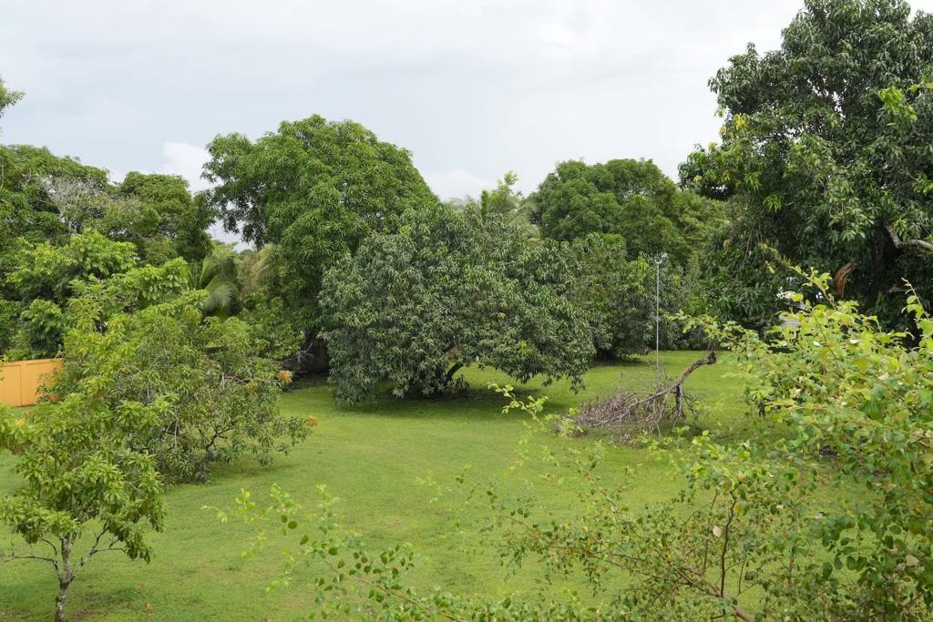 listing image with ID 108225