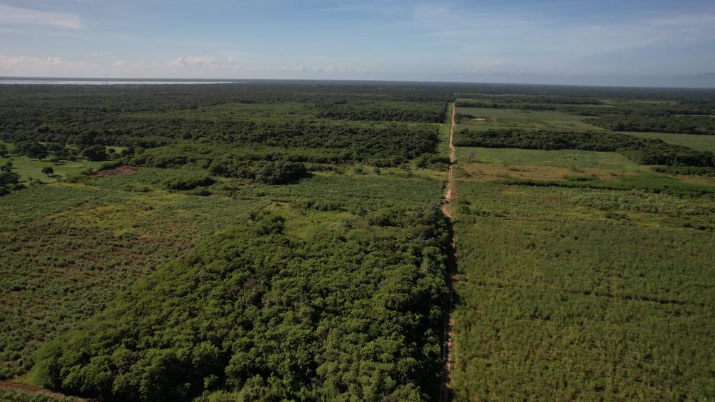 listing image with ID 78511
