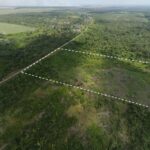listing image thumbnail with ID 98275