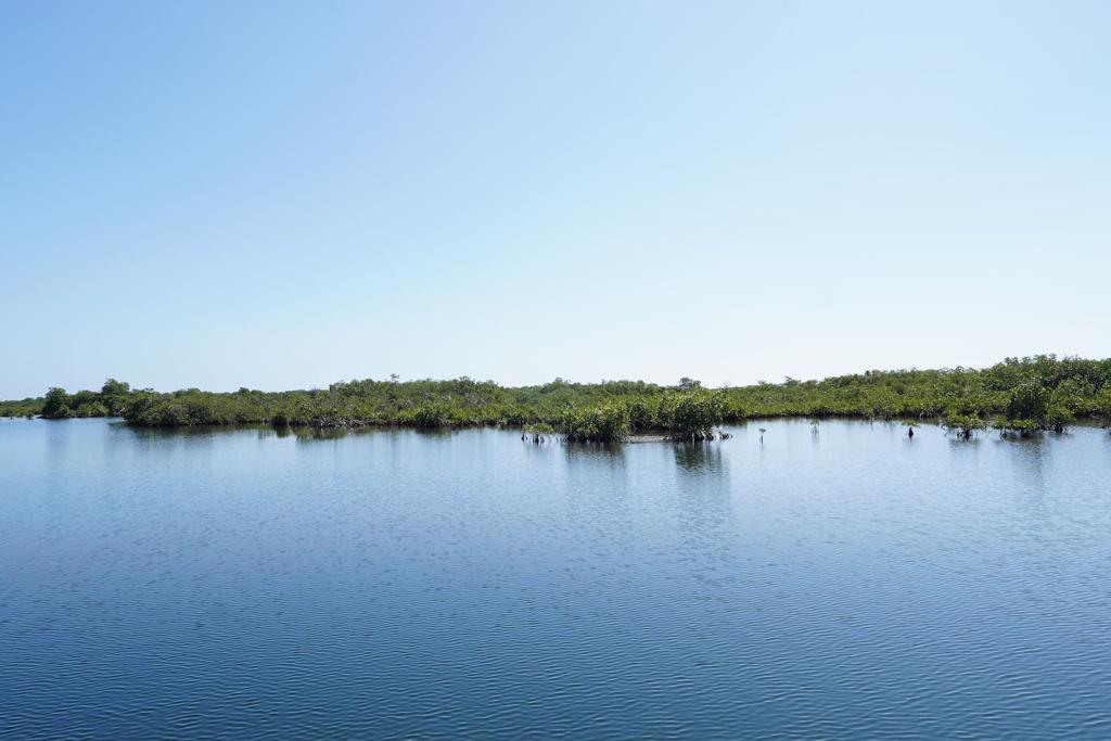 listing image with ID 95982