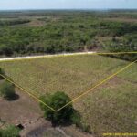 listing image thumbnail with ID 87837