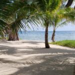 listing image thumbnail with ID 104543