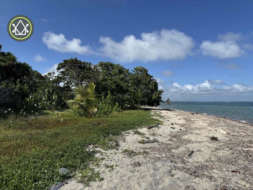 listing image with ID 86505