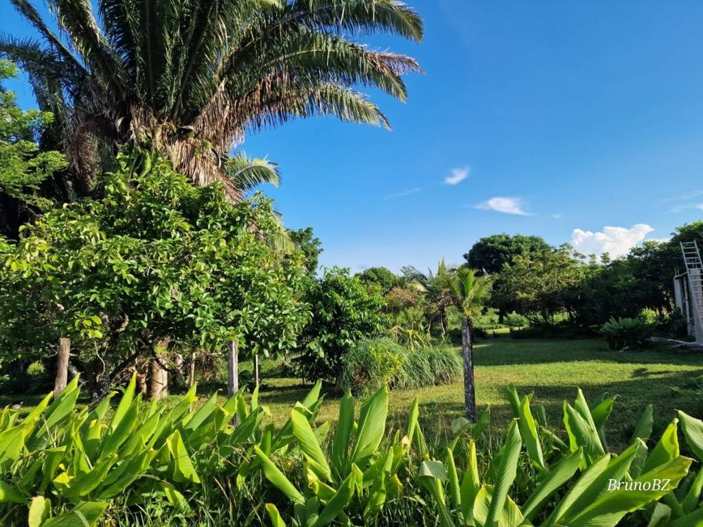 listing image with ID 101325