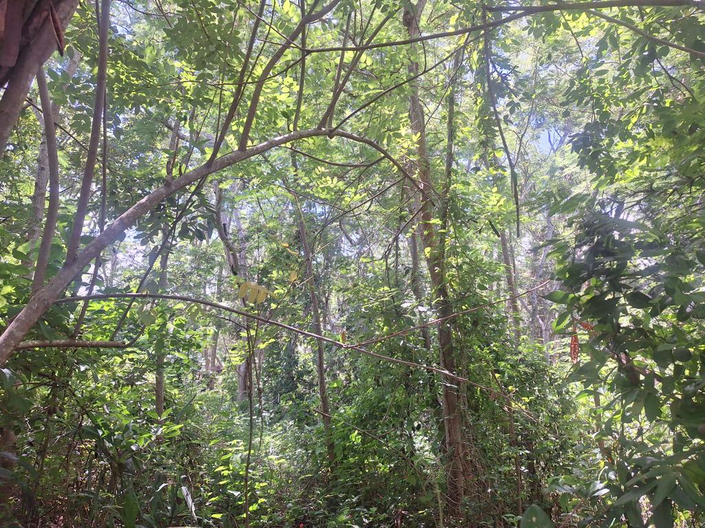 listing image with ID 75600