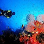 listing image thumbnail with ID 98222