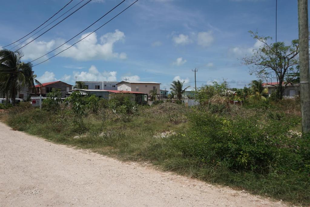 listing image with ID 83584