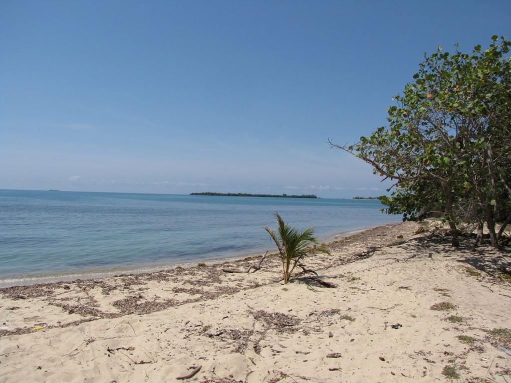 listing image with ID 99102