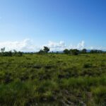 listing image thumbnail with ID 107570