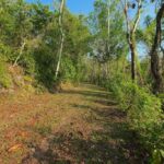 listing image thumbnail with ID 90807