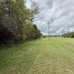 listing image thumbnail with ID 82581