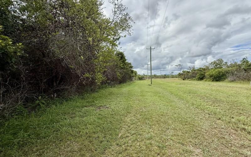 listing image with ID 82581