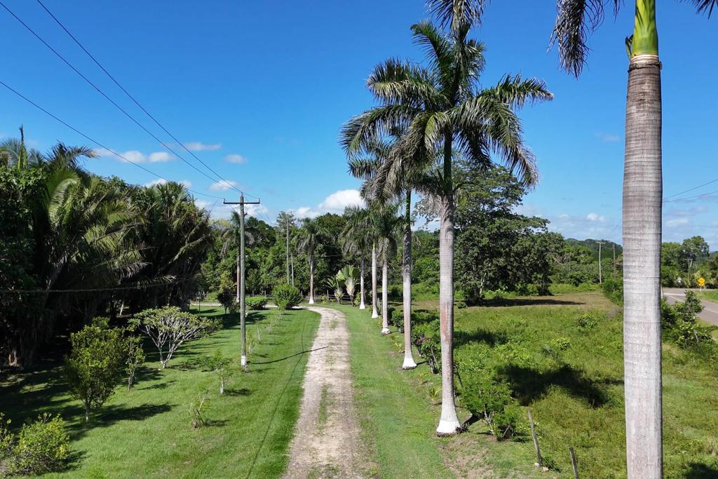 listing image with ID 84475