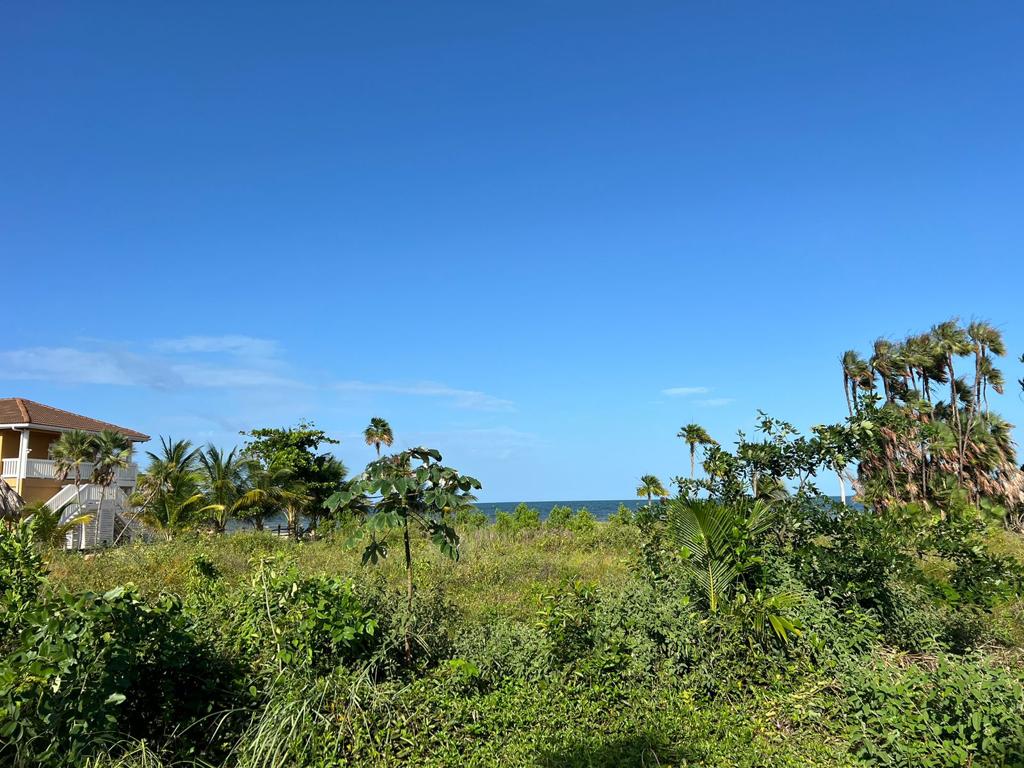 listing image with ID 102421