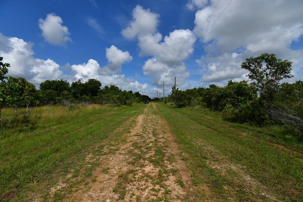 listing image with ID 95118