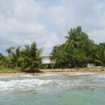 listing image thumbnail with ID 84704