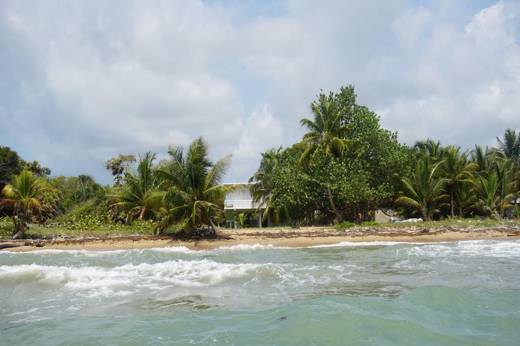 listing image with ID 84704