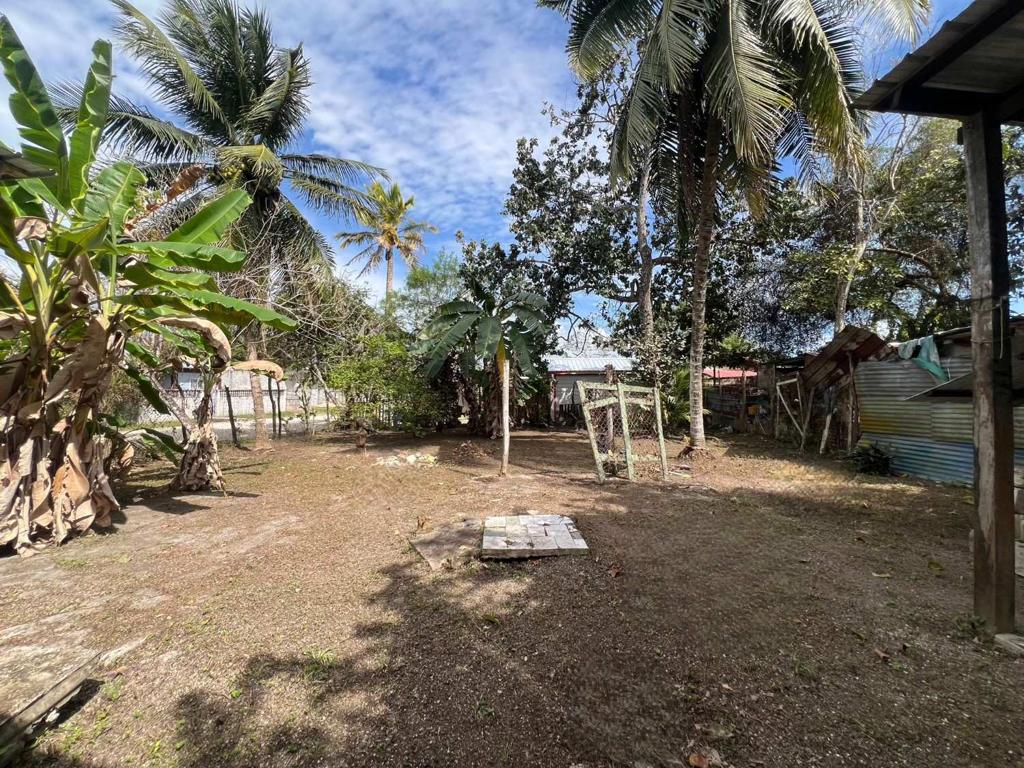 listing image with ID 99406