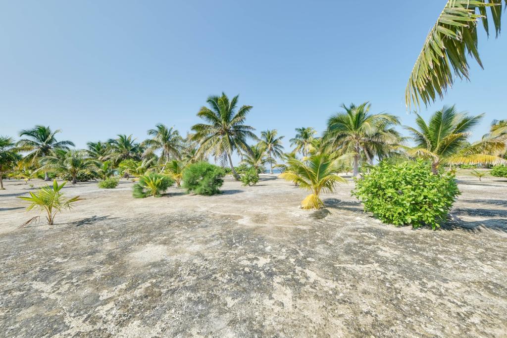listing image with ID 91880