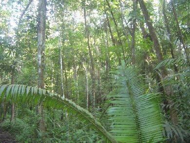listing image with ID 85062