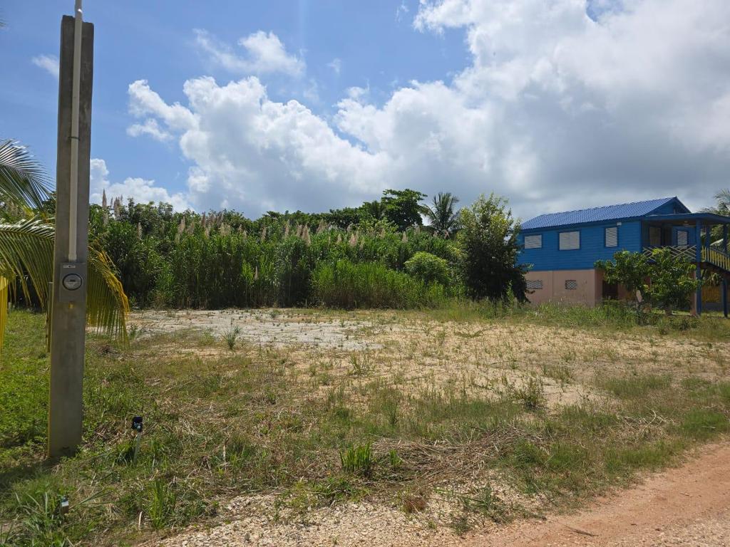 listing image with ID 87383
