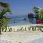 listing image thumbnail with ID 77306