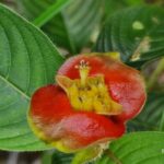 listing image thumbnail with ID 76744