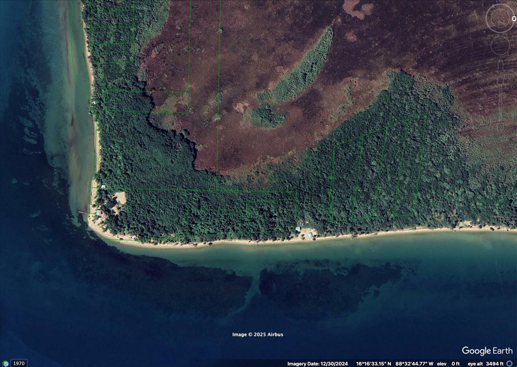 listing image with ID 98118