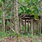 listing image thumbnail with ID 76063