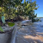 listing image thumbnail with ID 83735