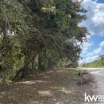 listing image thumbnail with ID 102301