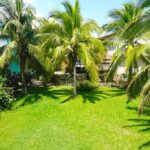 listing image thumbnail with ID 89532