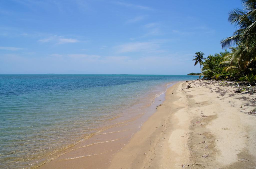 listing image with ID 77555