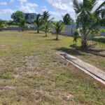 listing image thumbnail with ID 81134